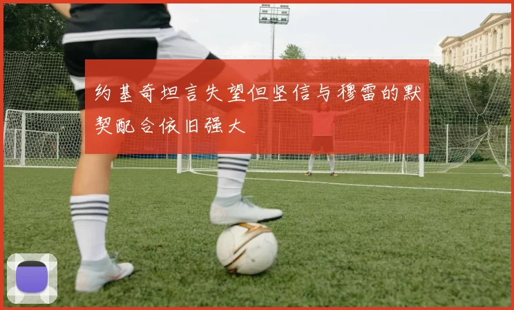 约基奇坦言失望但坚信与穆雷的默契配合依旧强大